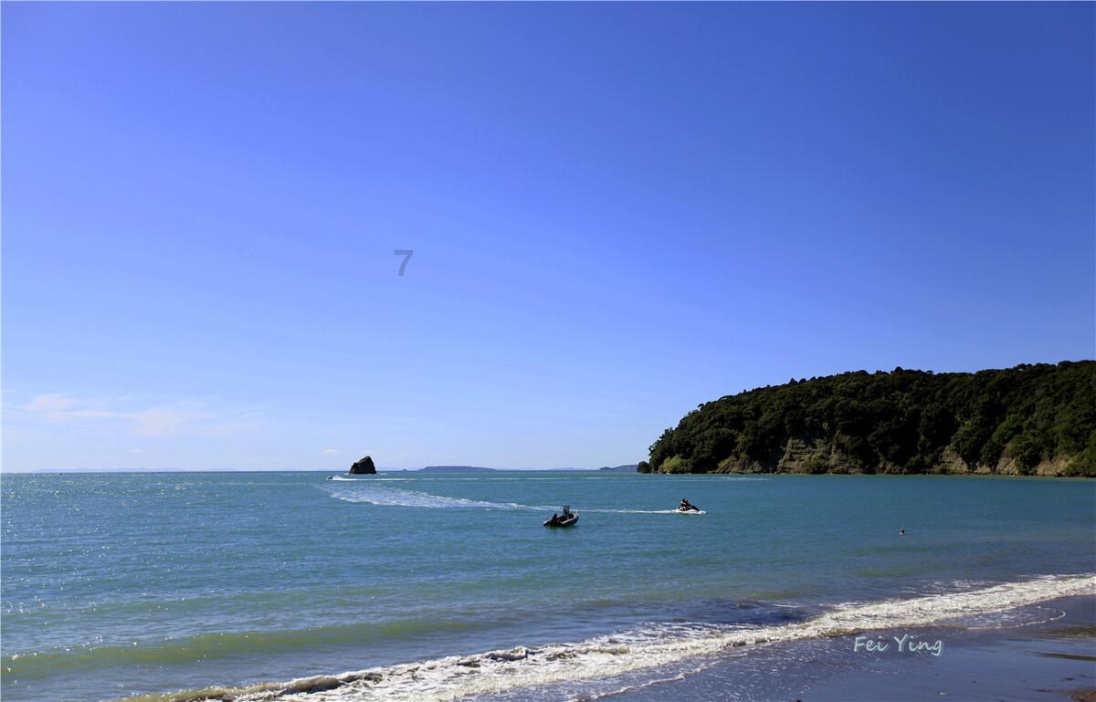 沪江开心词场